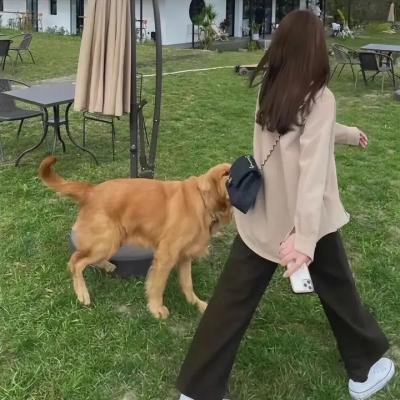拉米第三季